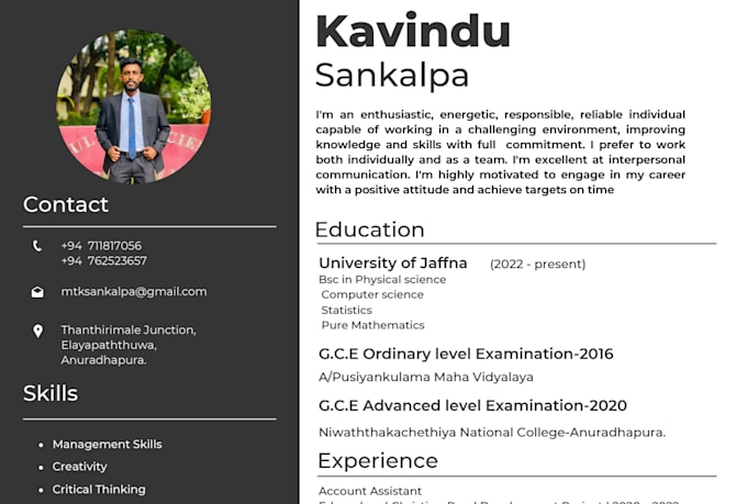 do professional resume writing for employees or beginners